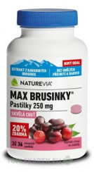 NATUREVIA MAX BRUSNICE 250 mg