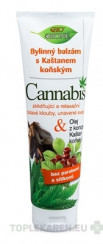 BC BIO Cannabis Konský bylinný balzam